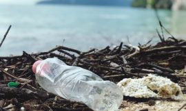 Plastikmüll am Strand – Trinkhalme unter den Top 10